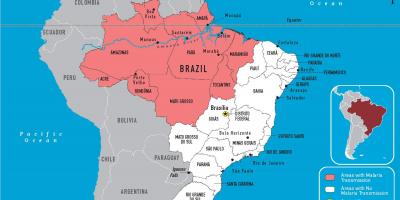 الملاريا البرازيل خريطة